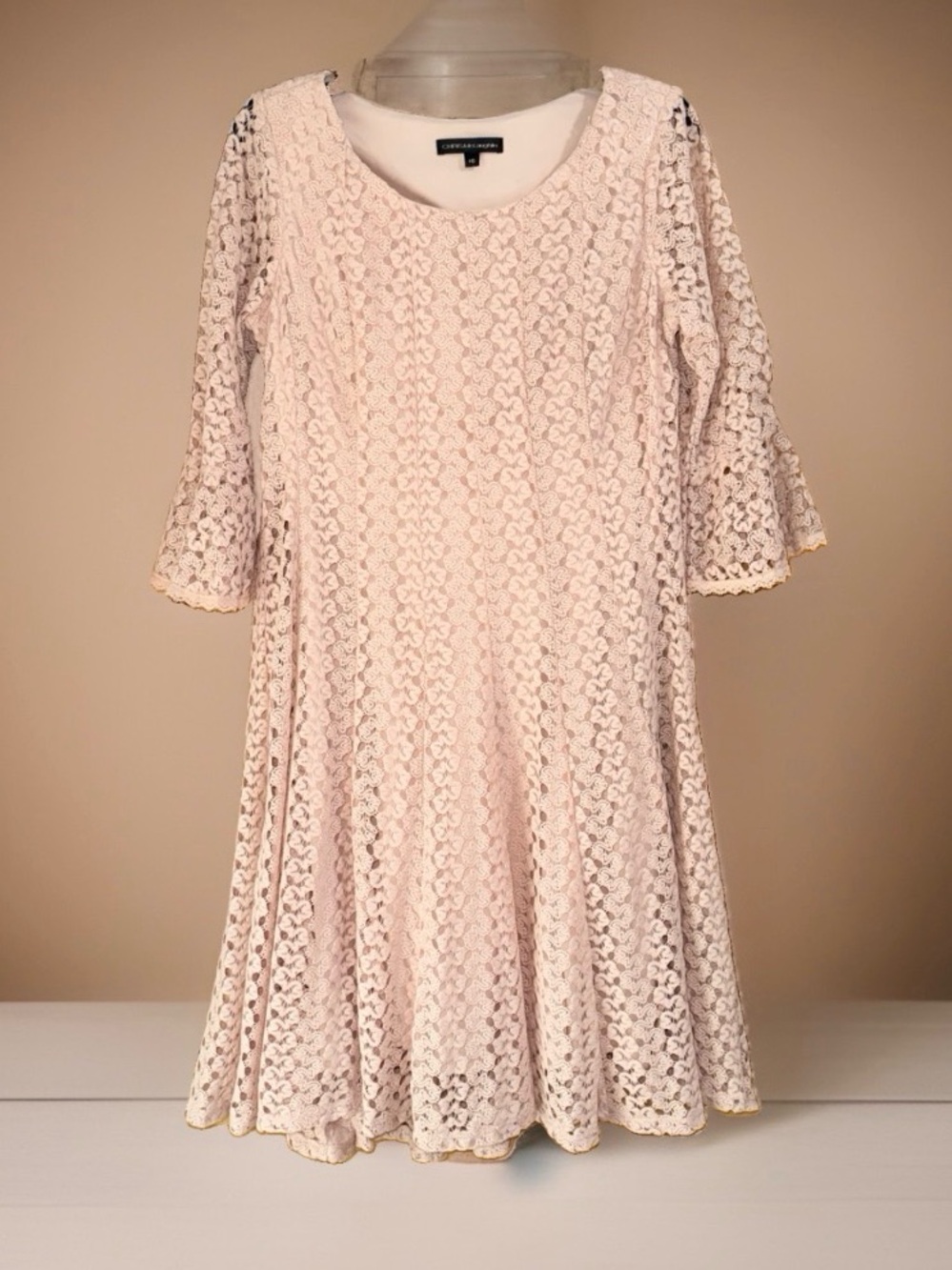 Chris McLaughlin Women’s Blush Lace Flared Midi Dress-10-EC
